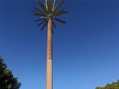 Camouflaged Palm Tree  Tower in Oman2