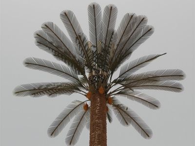 Camouflaged Palm Tree  Tower in Oman