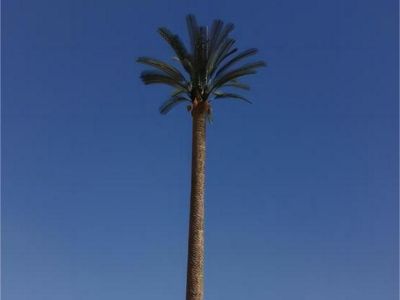 Camouflaged Palm Tree  Tower in Oman